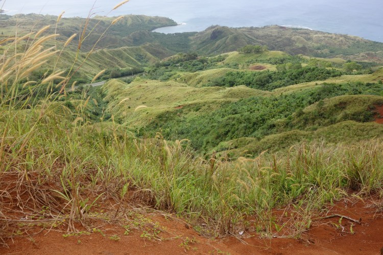 This image has an empty alt attribute; its file name is dsc02217.jpg